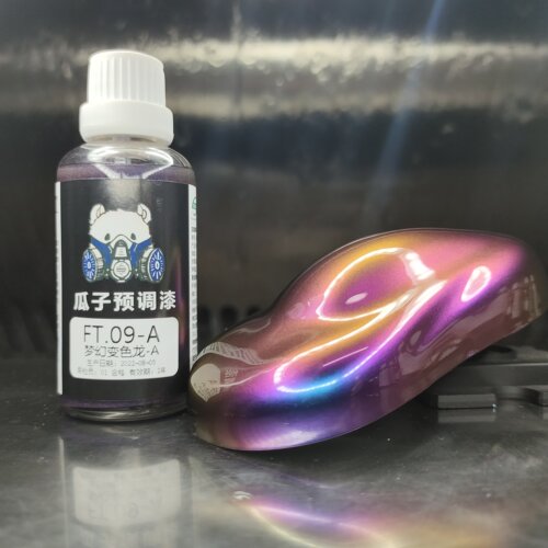 瓜子漆FT.09-A梦幻变色龙A