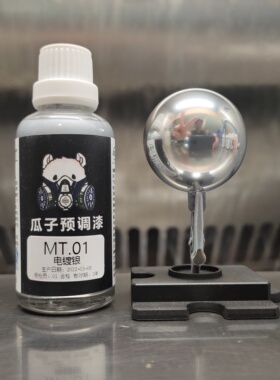 瓜子漆 金属色 MT.01 电镀银