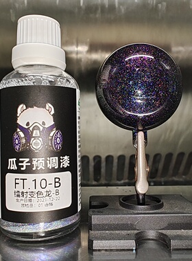 瓜子漆 梦幻色 FT.10B 镭射变色龙B