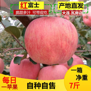 红富士苹果新鲜脆甜孕妇儿童 水果正宗大连瓦房店应季 当季 7斤装