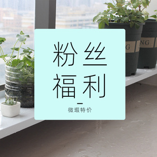 阳台加宽花架窄窗台延伸架加宽台面置物架台沿高低脚拓展架花盆架