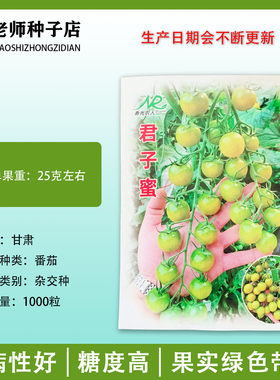 寿光农人君子蜜高糖风味小番茄种子 黄色蜜甜爆汁特色圣女果种籽