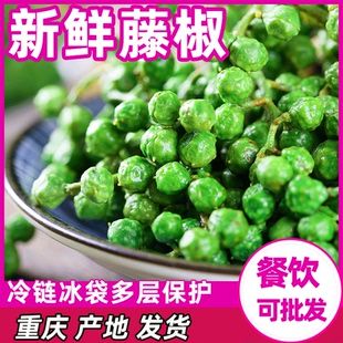 藤椒青花椒新鲜四川特产350g重庆江津现摘生麻椒特麻真空新鲜花椒