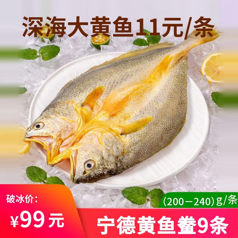 宁德霞浦特产黄鱼鲞咸香大黄鱼免杀半干黄花鱼新鲜冷冻黄瓜鱼腌制