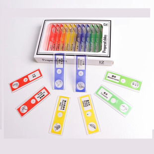 小学生塑料制生物标本切片玻片儿童生物科学实验玩具显微镜配件