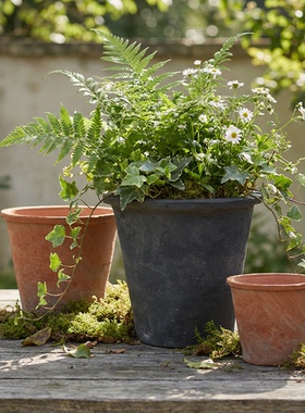 大花盆粗陶老式陶瓷手工多肉阳台龟背竹陶土盆具兰花陶盆菊花瓦盆