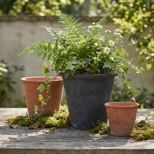 大花盆粗陶老式 陶瓷手工多肉阳台龟背竹陶土盆具兰花陶盆菊花瓦盆