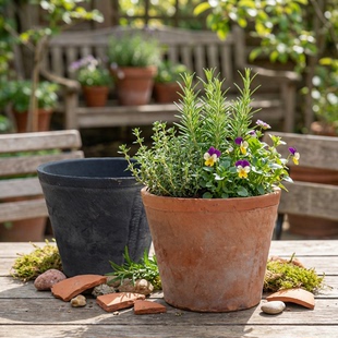 粗陶多肉水仙小花盆复古透气红陶兰花瓦盆家用绿萝陶盆三角花老式