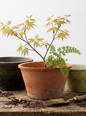 普通盆 老式粗陶绿萝红陶多肉陶土瓦盆小陶盆陶罐园艺做旧花盆矮