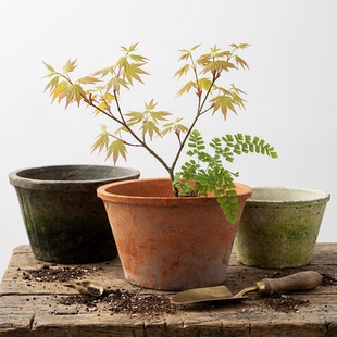 普通盆 粗陶绿萝红陶多肉陶土瓦盆小陶盆陶罐园艺做旧花盆矮 老式
