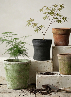 宽边口盆多肉红陶花盆简约兰花创意个性粗陶瓦盆控根专用阳台水仙