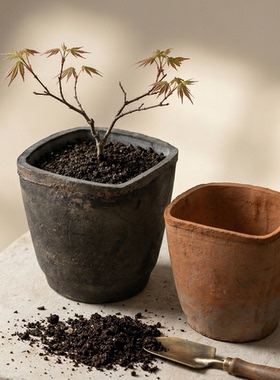 方口大号多肉花盆陶瓷简约大粗陶兰花龙血树红陶龟背竹蝴蝶兰陶盆