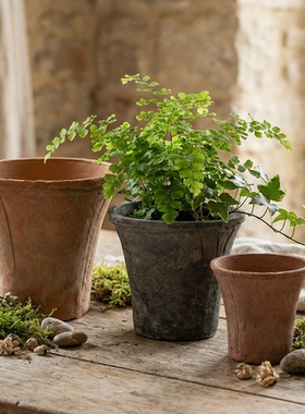 喇叭盆粗陶多肉瓦盆阳台陶土盆龟背竹绿箩异形大号蝴蝶兰花盆黑陶