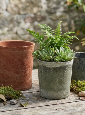 直小高筒红陶花盆创意陶瓷泥瓦盆多肉盆陶土盆阳台蝴蝶兰青苔大号