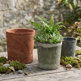 直小高筒红陶花盆创意陶瓷泥瓦盆多肉盆陶土盆阳台蝴蝶兰青苔大号