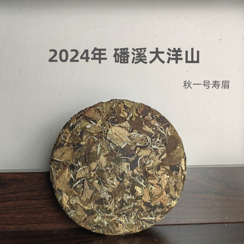 2024年秋一号福鼎白茶寿眉