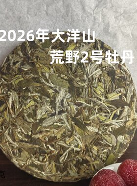 啊清和阿明家的茶  福鼎白茶2026年荒野大洋山牡丹252克 鼎贝白茶