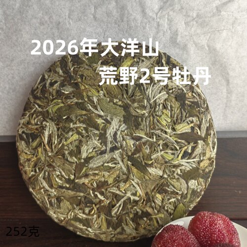 啊清和阿明家的茶  福鼎白茶2026年荒野大洋山牡丹252克 鼎贝白茶