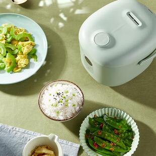 FB12电饭煲1 2人迷你智能宝宝辅食多功能一人便携 大宇 DAEWOO