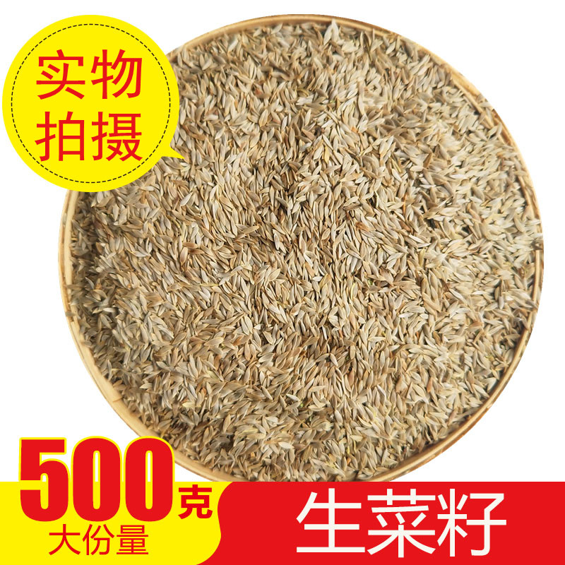 中药材生菜籽 生熟东北生菜籽食用  熟原粉 补接钙骨生熟籽 500g