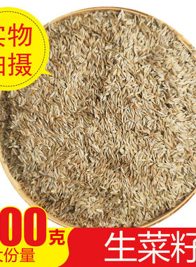 中药材生菜籽 生熟东北生菜籽食用  熟原粉 补接钙骨生熟籽 500g