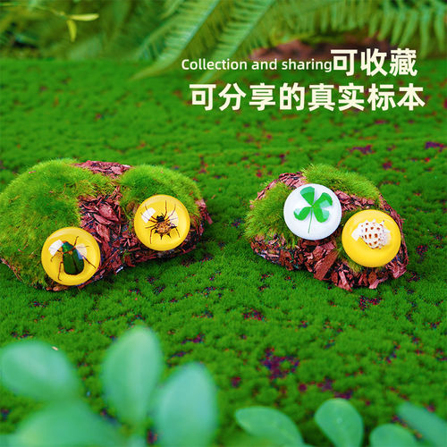 千千谷titigood树脂徽章 昆虫标本植物海洋动物 学生礼物教学玩具