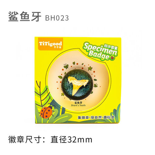 千千谷教具自然标本观察