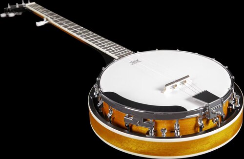 班卓琴Banjo-入门款-蓝草乐器