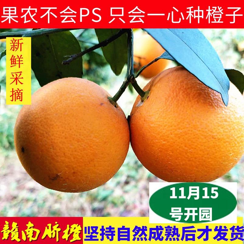 赣南脐橙装信丰脐橙果园直发新鲜水果橙子现采现发榨汁橙子