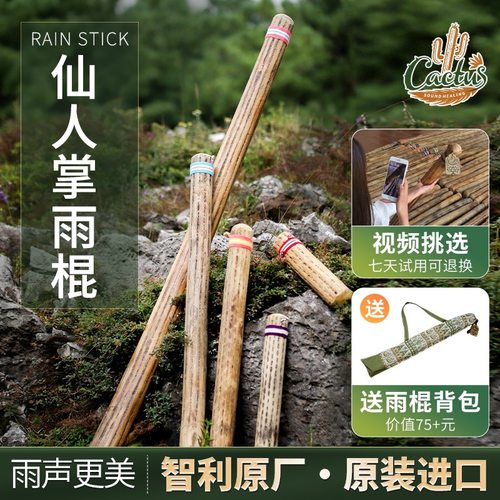 卡杜斯仙人掌雨棍拟声解压冥想