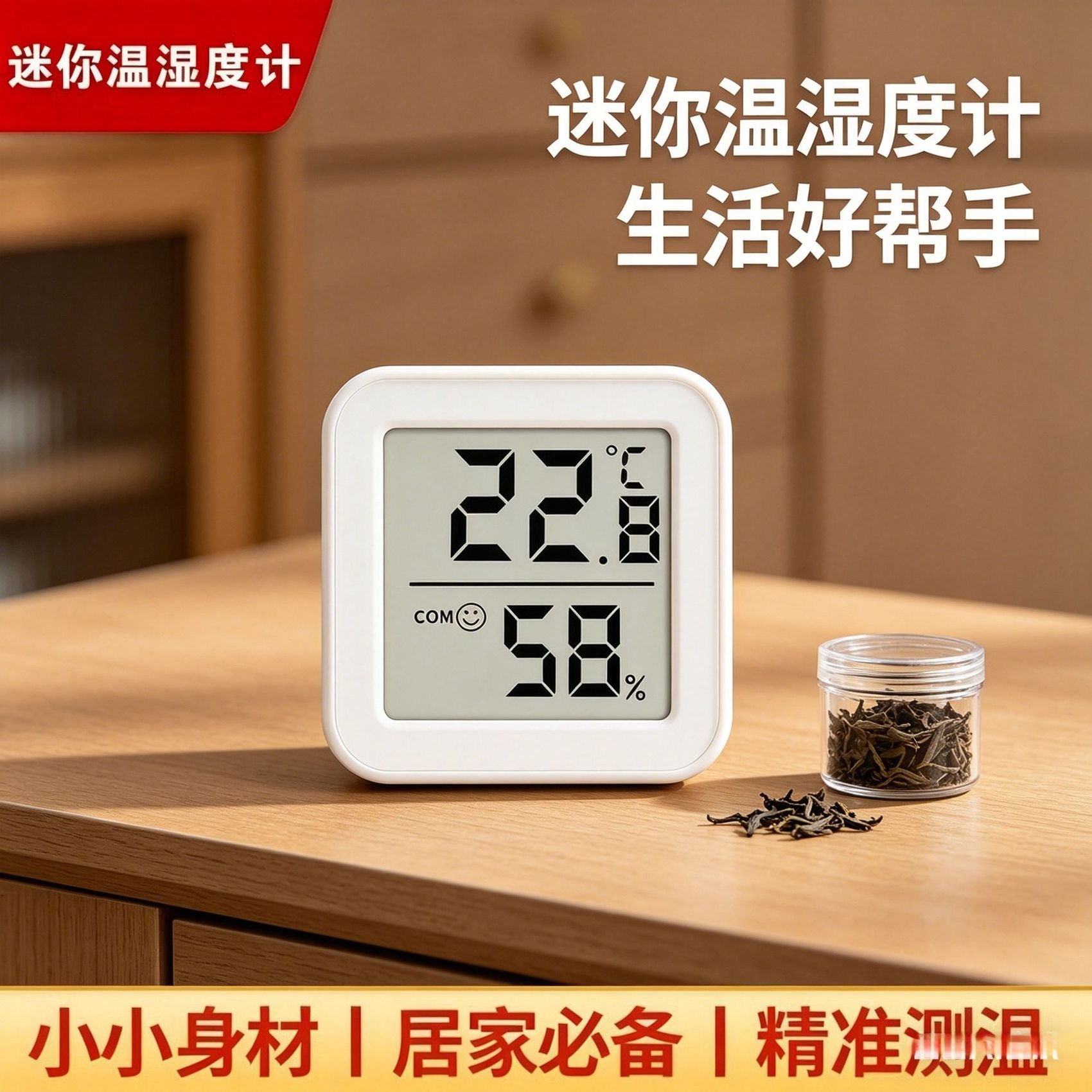 干湿显示检测仪器迷你电子