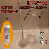 谷敛斋鸣虫过盒清洗辅助品大黄蛉金蛉子马铃竹蛉金钟过虫器