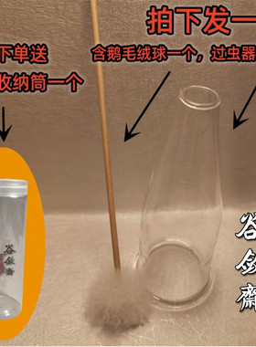 金蛉子马铃竹蛉金钟过虫器