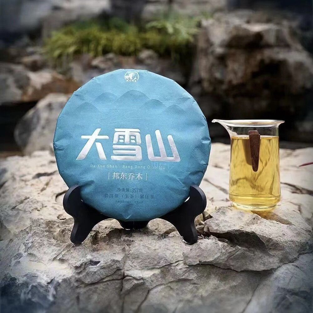 佤山映象谭梅云南邦东大雪山头春普洱古树生茶饼357g