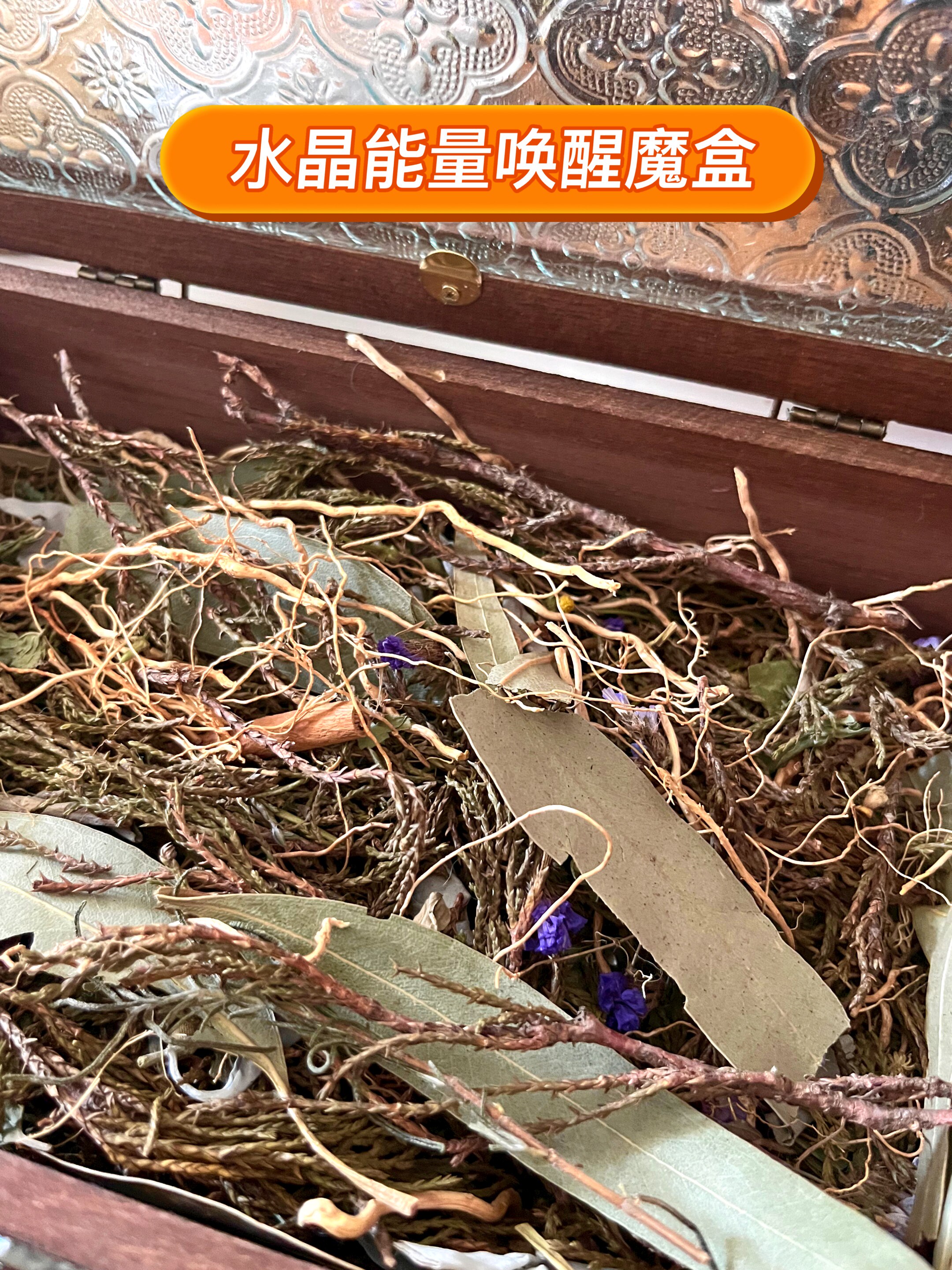 水晶之家｜水晶能量唤醒魔盒药草窝
