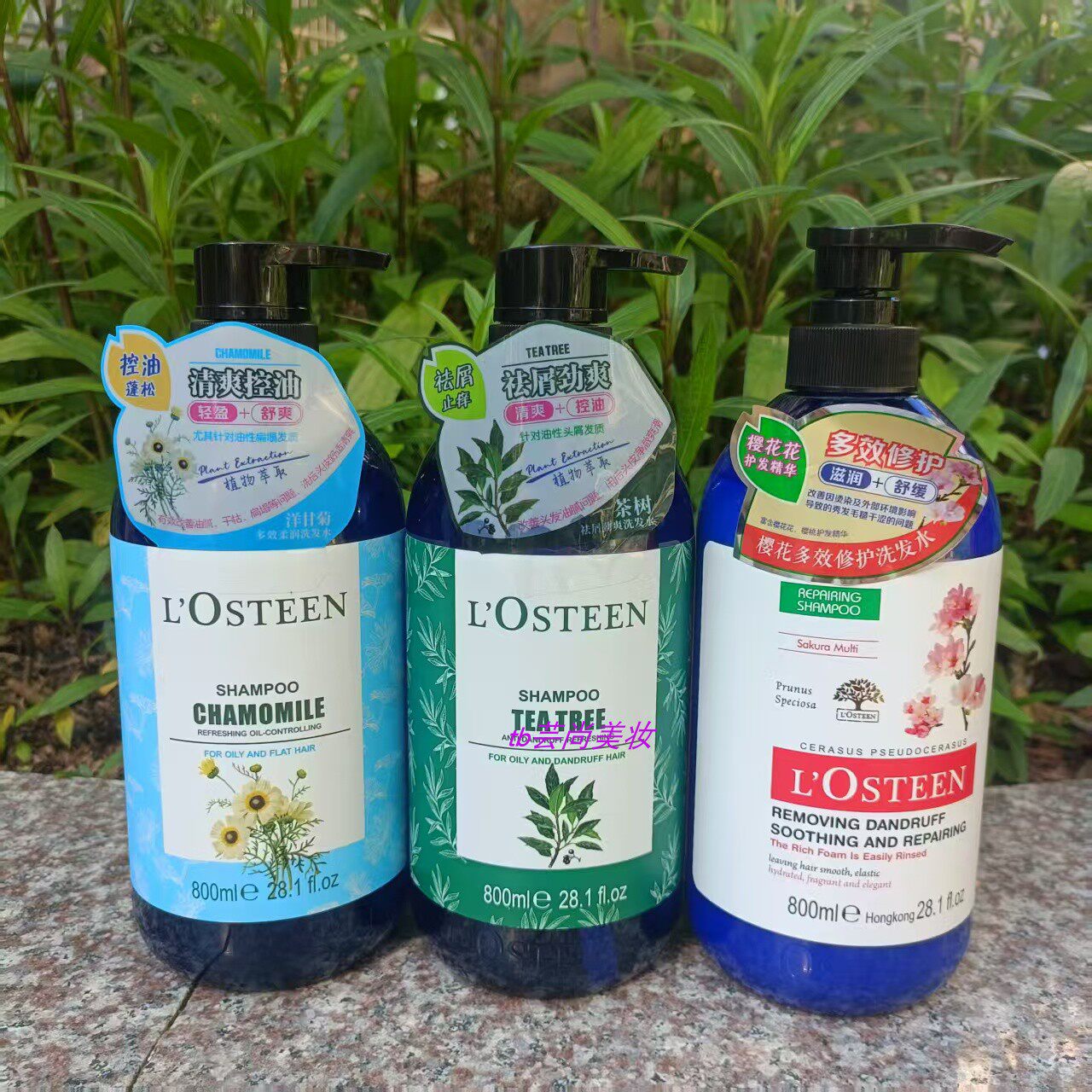 正品欧斯丁茶树祛屑劲爽洗发水800ml 清爽控油生姜修护滋养护发