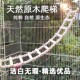 鹦鹉天然原木爬梯虎皮牡丹玄凤纯白色云梯啃咬攀爬吊桥鸟笼连廊桥