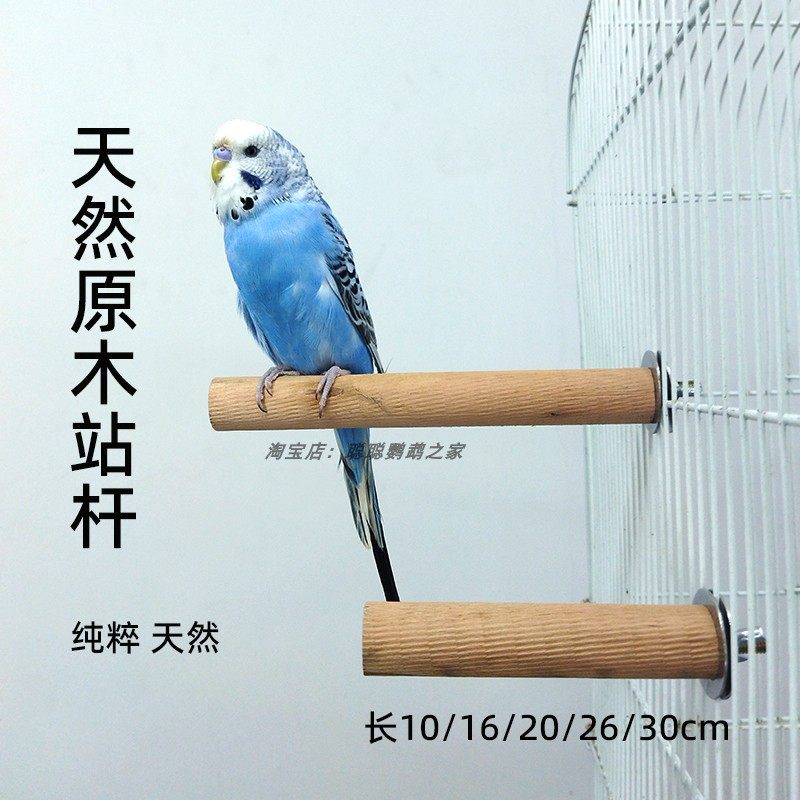 鹦鹉原木站杆架鸟站杆站棒站棍磨爪棒虎皮牡丹玄凤鸟笼栖息杠用品,宠物/宠物食品及用品,鸟禽其他,淘宝优惠券,粉丝福利购,淘宝优惠卷