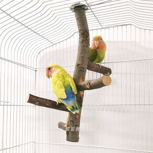 鹦鹉站架旋转楼梯苹果木虎皮牡丹玄凤鹦鹉栖木耐咬实木站杆跳台