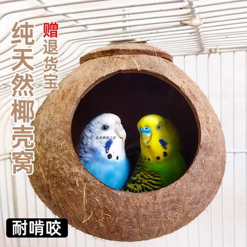鹦鹉鸟窝椰子窝虎皮牡丹椰壳窝