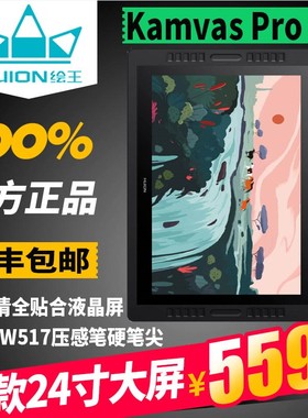 HUION/绘王Kamvas Pro24寸液晶数位屏无源手绘屏绘画屏绘图屏画板
