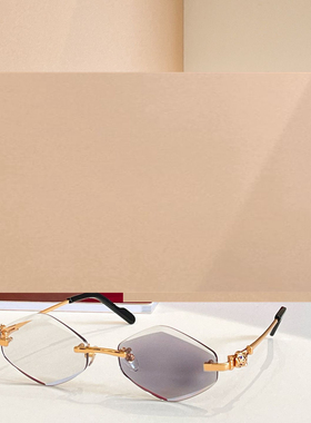 时尚新款太阳眼镜高品质高质感百搭遮阳潮大气01839O变色镜片小框
