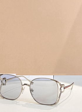 时尚新款太阳眼镜高品质高质感百搭遮阳潮大气1699L金属方框