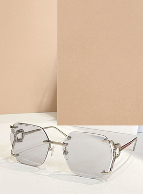 时尚新款太阳眼镜高品质高质感百搭遮阳潮大气1688L无框大框