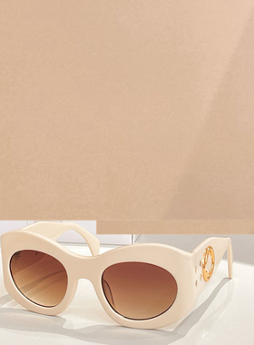 时尚新款太阳眼镜高品质高质感百搭遮阳潮大气1463S板材