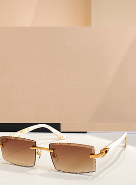 时尚新款太阳眼镜高品质高质感百搭遮阳潮大气CT 0049无框方框