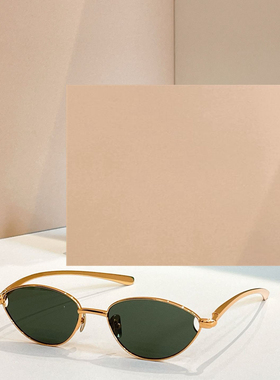 时尚新款太阳眼镜高品质高质感百搭遮阳潮大气1698LS 金属小框