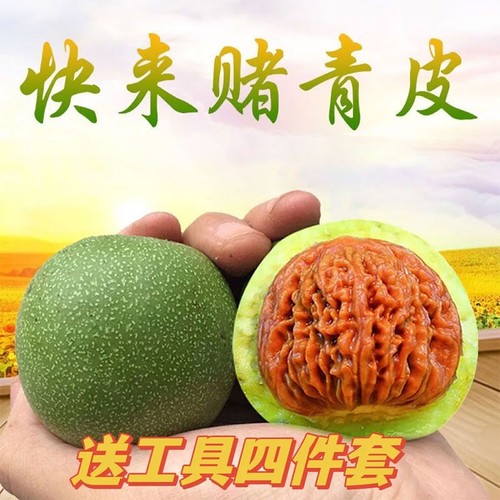 青皮文玩核桃带皮手盘核桃狮子头官帽白狮子四座楼蛤蟆头赌青皮