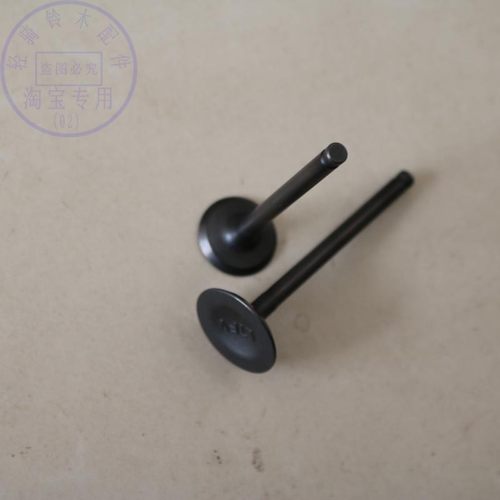 铃木骏驰GT125进排气门