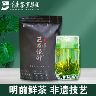 明前新茶 重庆特产茶叶 巴南银针 雨水级 高山绿茶春茶100克袋装
